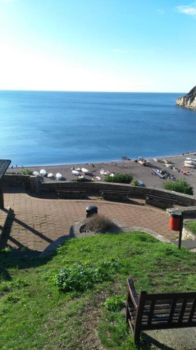 No 27 A Dog Friendly Rural Coastal Chalet Villa Сийтън Екстериор снимка